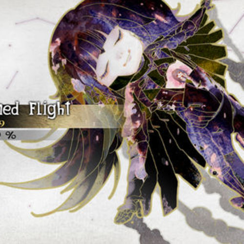 Imagined Flight
