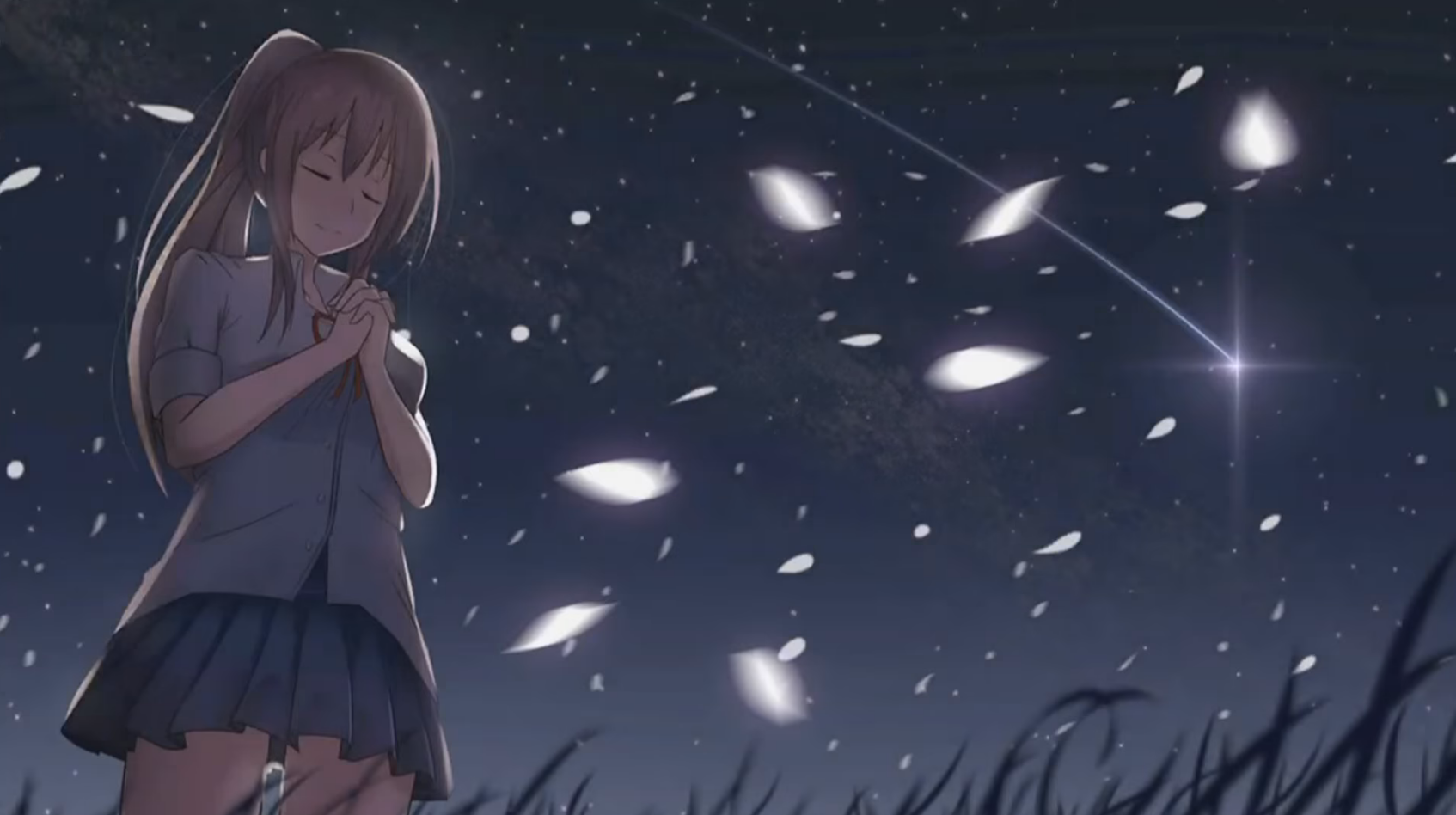 Meteor Hope
